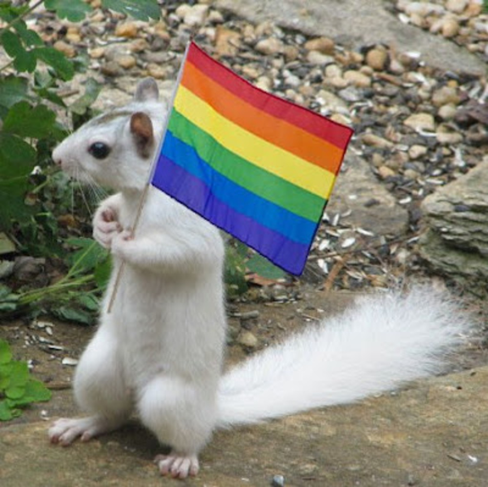 Meet your Posher, Squirr